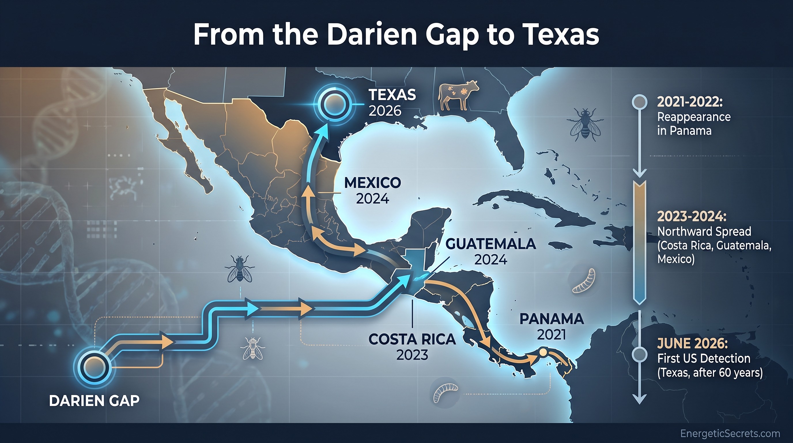 Screwworm spread timeline from Panama to Texas